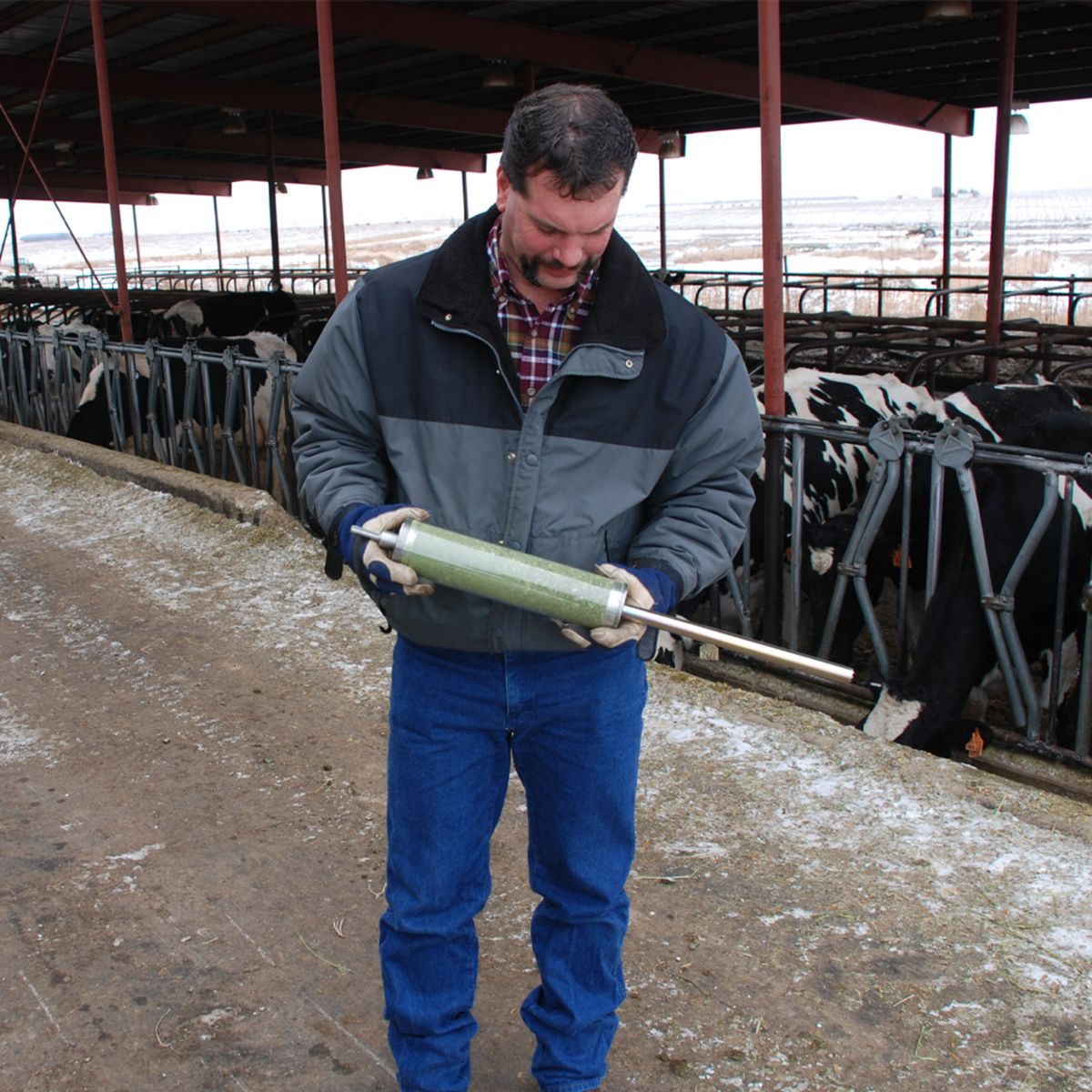 Why Regular Hay Sampling Ensures Livestock Health