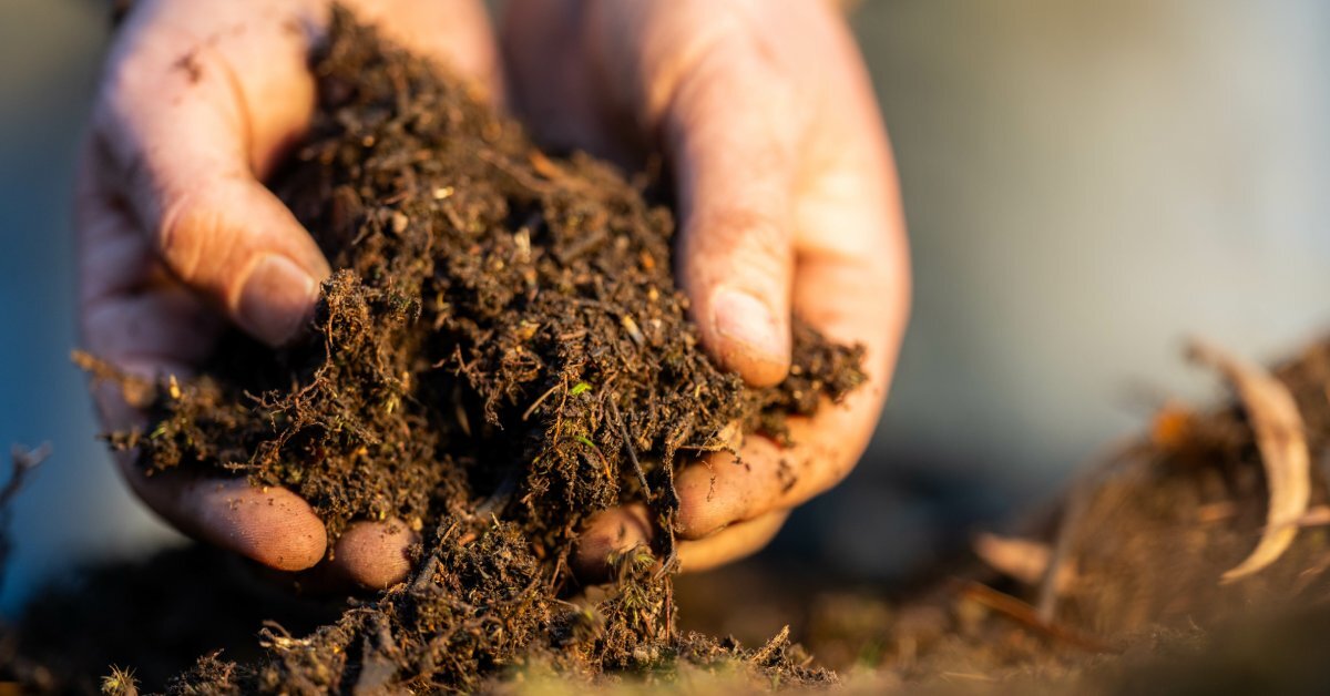 7 Soil Sampling Techniques: Basics to Advanced Tools